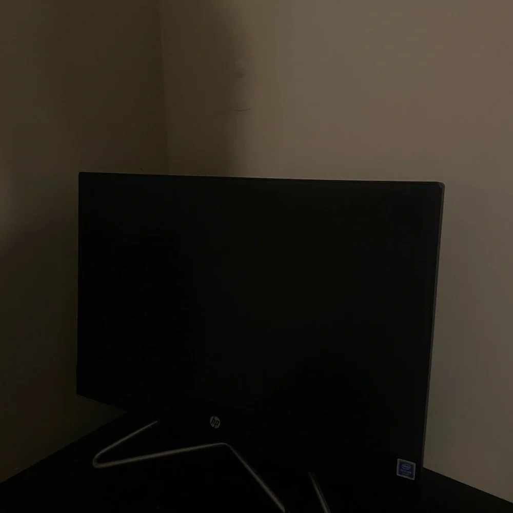HP Black Monitor mouse and keyboard included
